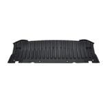 RIPARO SOTTOPARAURTI ANTERIORE AUDI A5 03/07>