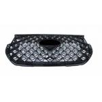 GRIGLIA MASCHERINA CHERY TIGGO 7 PRO 01/20>