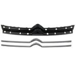 GRIGLIA MASCHERINA C/MODAN CROMATA CITROEN JUMPY 01/16>