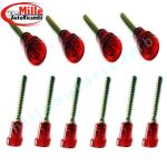 VITE FANALINO FERRO/PVC TESTA ROSSA E GAMBO IN FERRO 41253