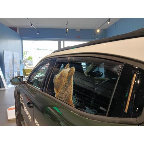 KIT 4 DEFLETTORI ARIA ANTITURBO ANT+POST CITROEN C3 AIRCROSS/OPEL FRONTERA 5 PORTE 2025>