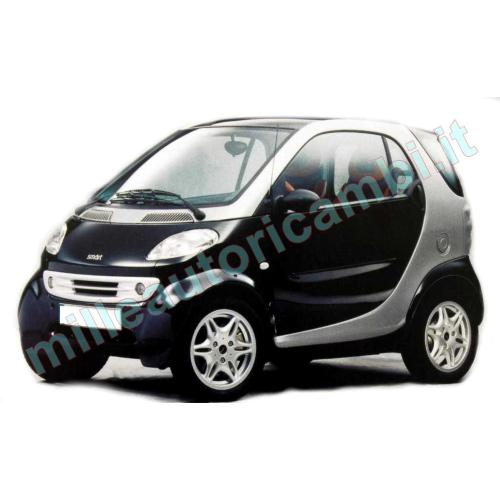 TIRANTE MANIGLIA APRIPORTA ESTERNA PER SMART FORTWO DAL 1998 AL 2006 3 PORTE CAVETTO