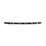 SUPPORTO PARAURTI ANT RENAULT SCENIC - GRAND SCENIC 09/16>