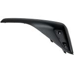 GRIGLIA PARAURTI POST DX TOYOTA C-HR 01/16>