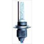 XENON H7R BULBO CORTO 6000K